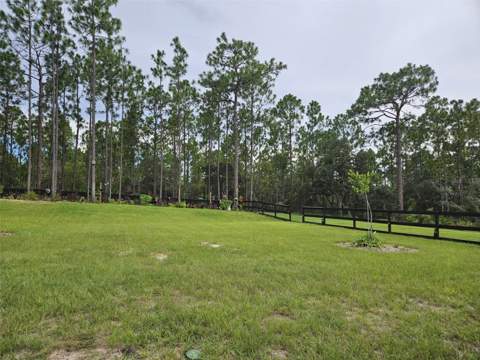 6374 W Rio Grande Drive, Beverly Hills FL - photo 24 of 29