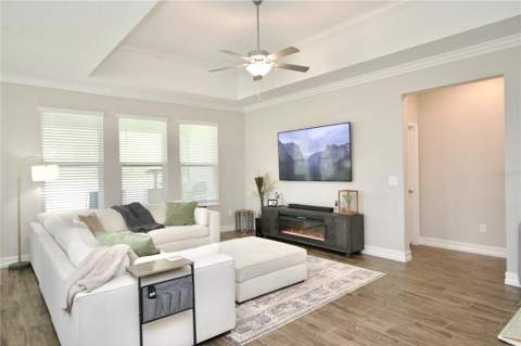 9723 Coneflower Court, Land O Lakes FL - photo 18 of 32