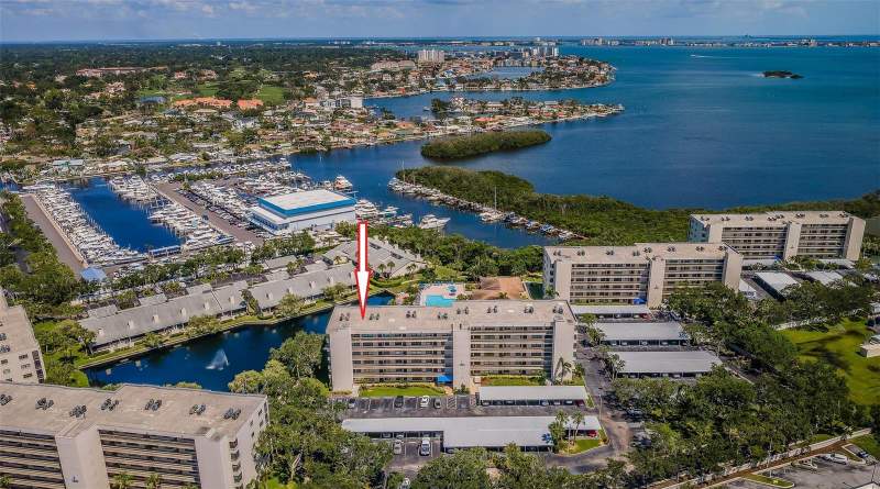 1324 PASADENA AVENUE #605 home for sale in Pasadena Cove Condos for Sale: 8 Listings