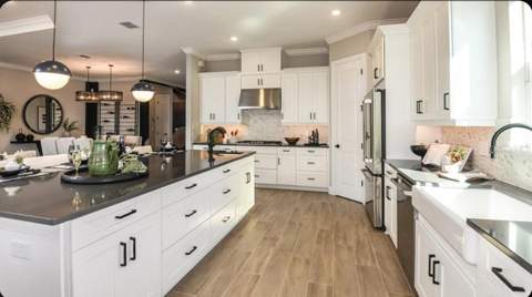 1039 Tassleflower Trail, St Cloud FL - photo 8 of 21