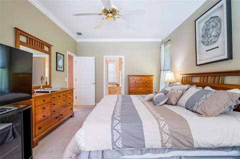 22754 Magnolia Trace Boulevard, Lutz FL - photo 13 of 56