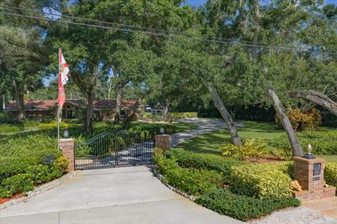 4141 Winding Willow Drive, Palm Harbor FL - photo 6 of 6