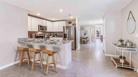 9854 Brave Buck Avenue, Land O Lakes FL - photo 8 of 15