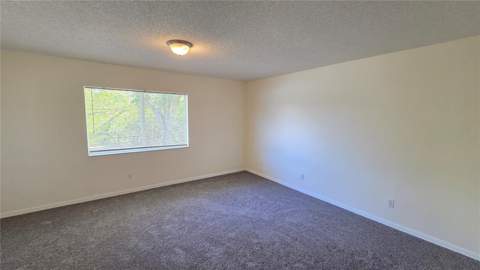 12922 Fieldmoor Court, Riverview FL - photo 10 of 32