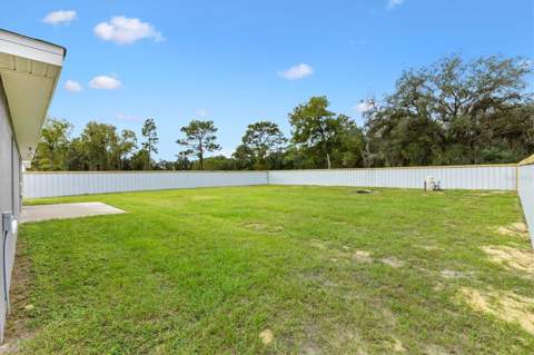 35 Guava Terrace Radial, Ocklawaha FL - photo 23 of 31