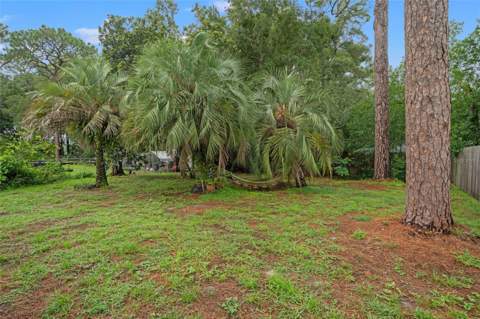 237 Monroe Avenue, Brooksville FL - photo 18 of 35