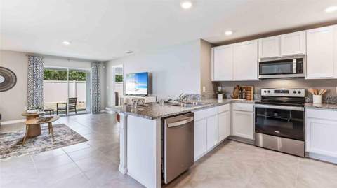 9849 Brave Buck Avenue, Land O Lakes FL - photo 7 of 15