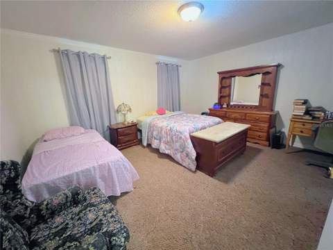 1710 Belmont Avenue, Mulberry FL - photo 13 of 26