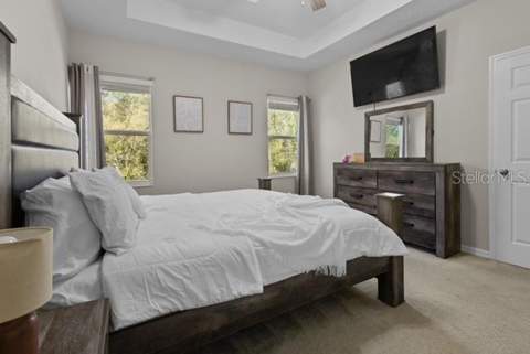 6989 Tussilago Way, Orlando FL - photo 21 of 33