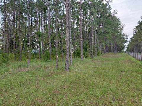 14240 Lost Lake Road, Clermont FL - photo 20 of 47