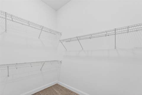 15174 Field Daisy Drive, Winter Garden FL - photo 14 of 62