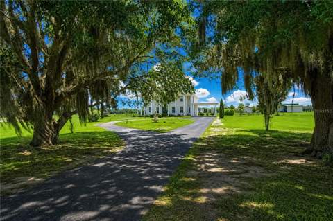 12345 NE 14th Avenue, Anthony FL - photo 6 of 6