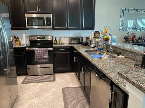 15222 Harrington Cove Drive, Orlando FL - photo 7 of 14