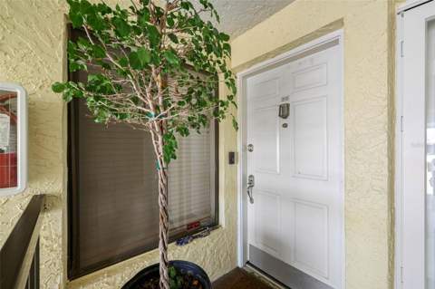 7300 Sunshine Skyway Lane #210, St Petersburg FL - photo 6 of 6