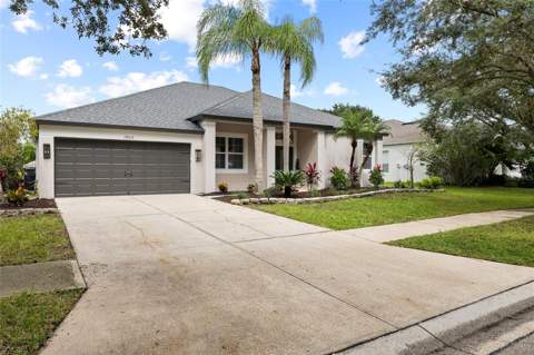 19015 Fern Meadow Loop, Lutz FL - photo 6 of 69