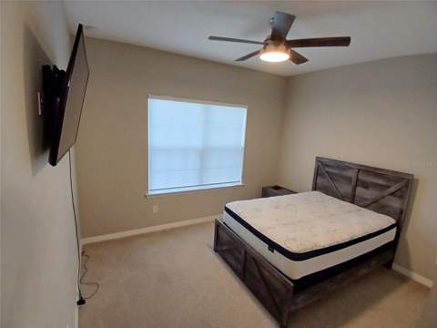 29900 Walsh Oak Drive, Wesley Chapel FL - photo 7 of 87