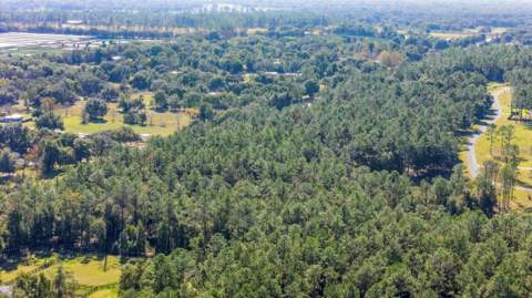 24250 Deep Springs Loop, Eustis FL - photo 11 of 11