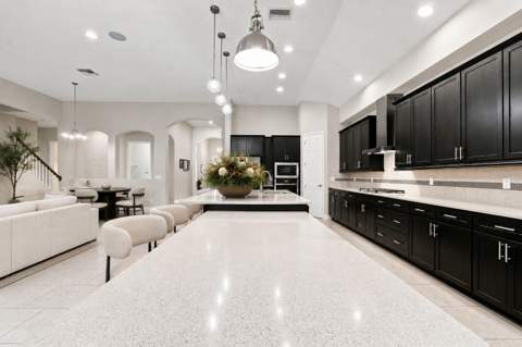 8318 Swiss Chard Circle, Land O Lakes FL - photo 10 of 62