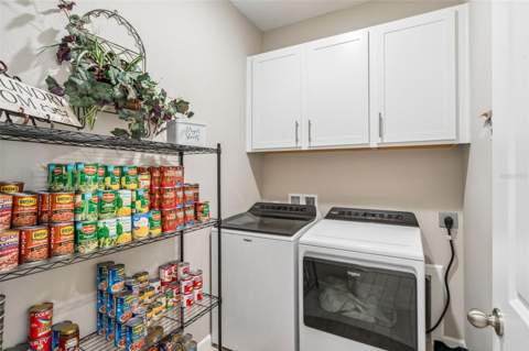 10381 Church Hammock Road, Leesburg FL - photo 18 of 20