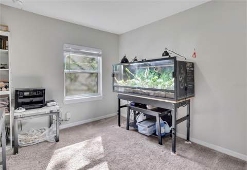 1815 E Seward Street, Tampa FL - photo 19 of 41