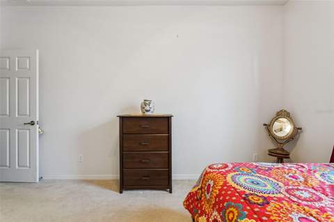 30337 Gidran Terrace, Mount Dora FL - photo 19 of 66