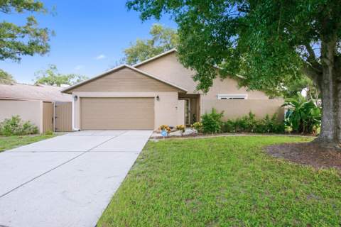 2767 Vanessa Lane, Palm Harbor FL - photo 6 of 6