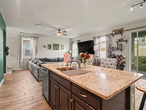 11609 Fringetree Court, Riverview FL - photo 6 of 22