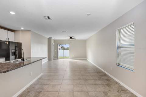 10256 Carloway Hills Drive, Wimauma FL - photo 8 of 29