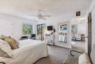 104 E Cypress Court #104, Oldsmar FL - photo 18 of 25
