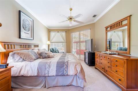 22754 Magnolia Trace Boulevard, Lutz FL - photo 11 of 56