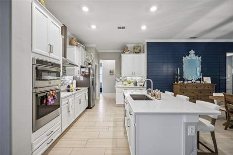 17022 Forge Surf Street, Land O Lakes FL - photo 9 of 62