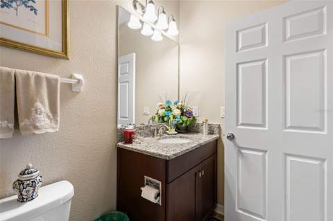 31046 Parrot Reef Court, Wesley Chapel FL - photo 13 of 99