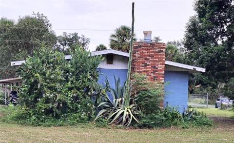 27401 Main Avenue, Okahumpka FL - photo 10 of 37