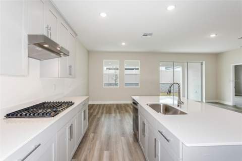 33437 Twilight Sea Place, Dade City FL - photo 11 of 32
