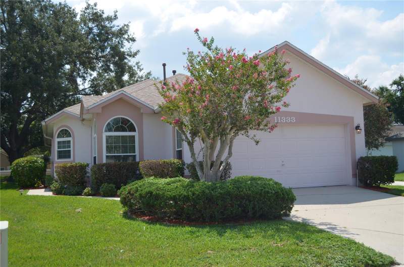 11333 PINK BLOSSOM COURT home for sale in Parkview North