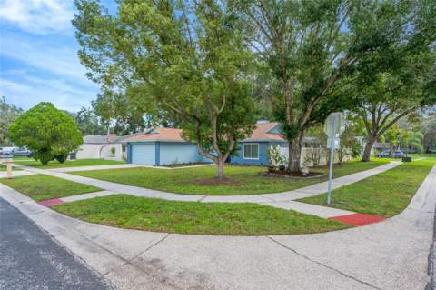 17717 Cranbrook Drive, Lutz FL - photo 6 of 6