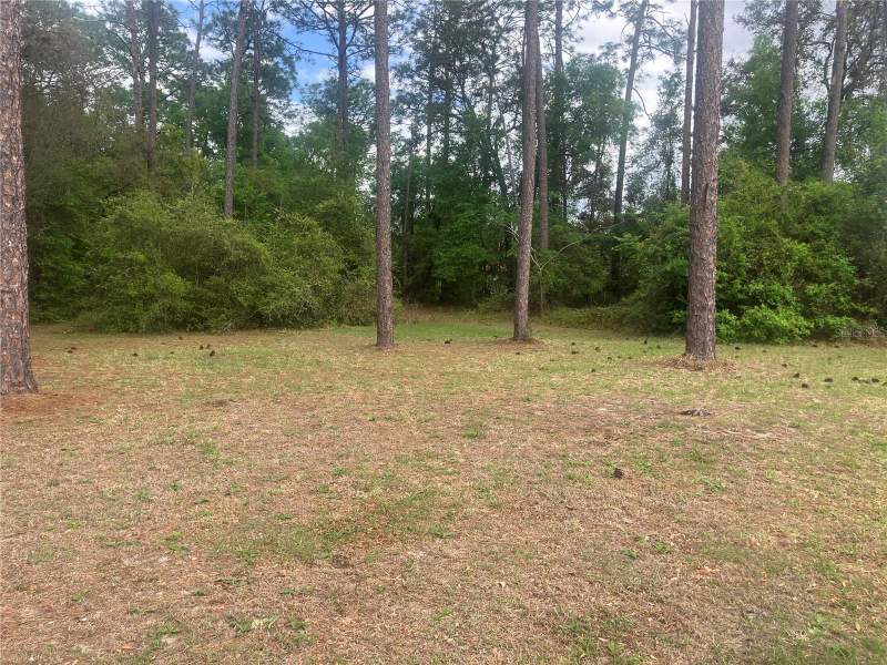 4 bedroom Manufactured Home at SE 19th Place SE 19th Place, Silver Spgs Village, Silver Springs — photo 4