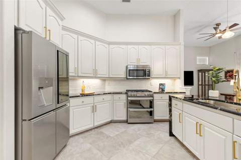 20203 Cane River Way, Tampa FL - photo 6 of 6