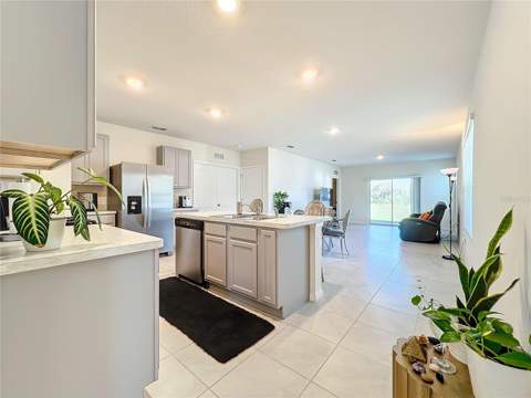 30380 Armenia Road, Leesburg FL - photo 10 of 21