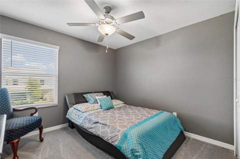 21851 Lyonia Lane, Land O Lakes FL - photo 22 of 50