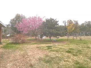 32420 County Road 473, Leesburg FL - photo 6 of 6