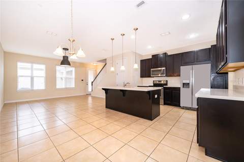 11963 Vermillion Avenue, Windermere FL - photo 20 of 35