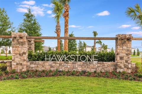 14919 Sterling Spur Avenue, Lithia FL - photo 22 of 30