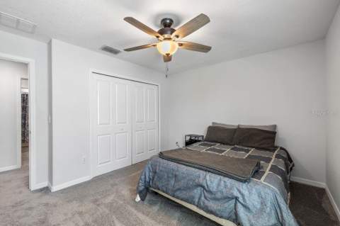 3703 Globe Thistle Drive, Tampa FL - photo 24 of 37