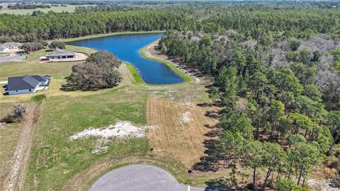 20280 Shoreline Ranch Lane, Umatilla FL - photo 12 of 15