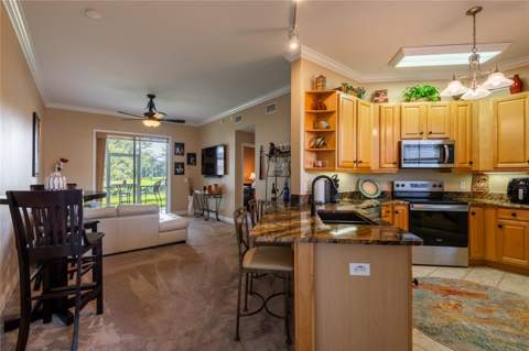 6808 Dali Avenue #105, Land O Lakes FL - photo 9 of 22