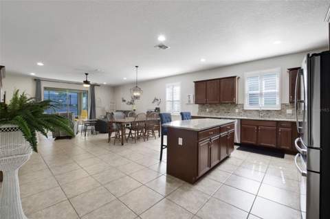 21315 Sorraia Cove, Mount Dora FL - photo 10 of 33