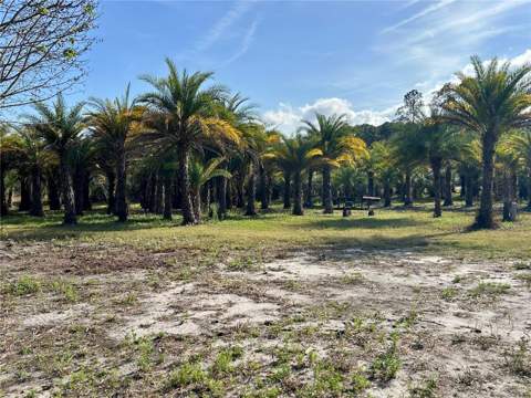 12714 State Road 33, Groveland FL - photo 11 of 22