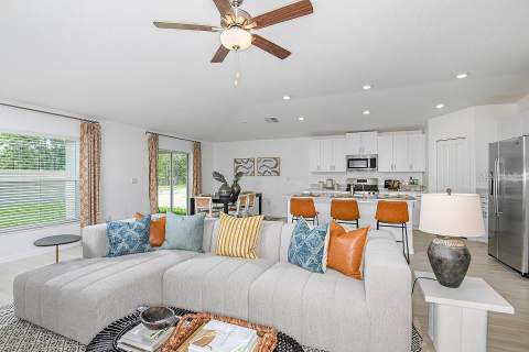 11222 Linden Depot Road, San Antonio FL - photo 11 of 32