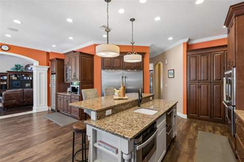 32641 Blueberry Hill Way, Dade City FL - photo 18 of 95